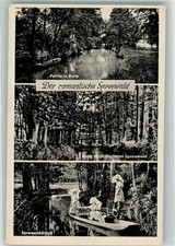 39988528 - 7502 Castle Women