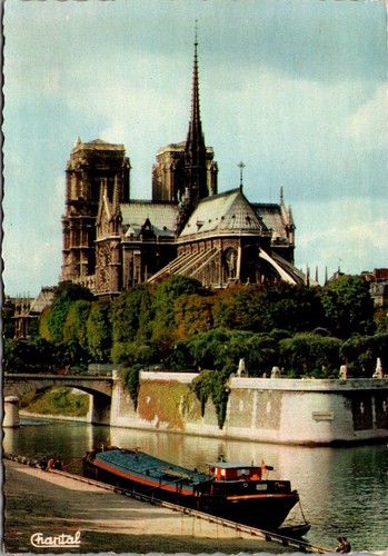 Notre dame cathedral paris - notre,
