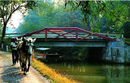 Horse pulled barge - ride, on